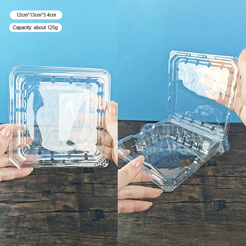 Square PET Blueberry Plastic Box